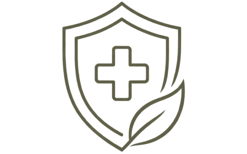 Seguridad