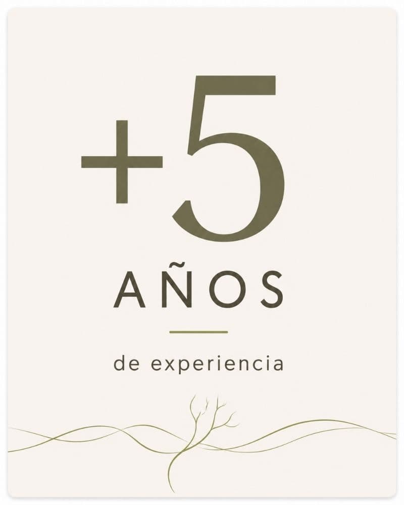 Más de 5 años de experiencia